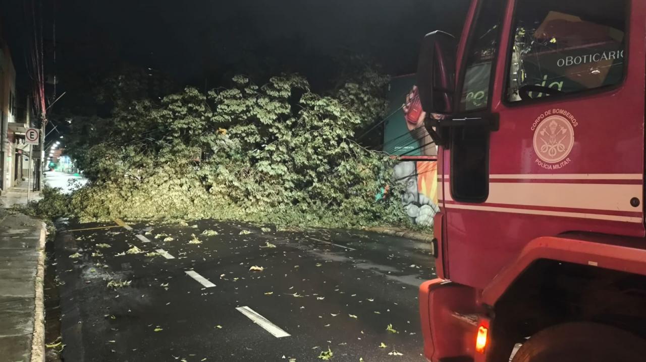 Foto 34 de 67 — TEMPORAL EM FOTOS: veja imagens de destruição em Araraquara